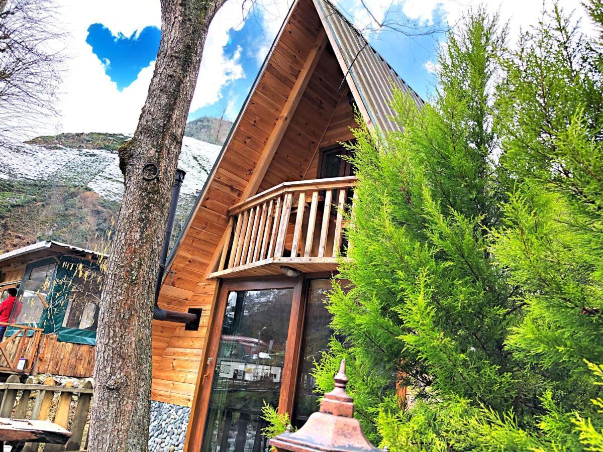 Tabiat Bungalows Otel Çamlıhemşin 외부 사진